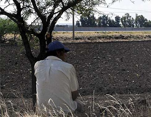 campo mexicano